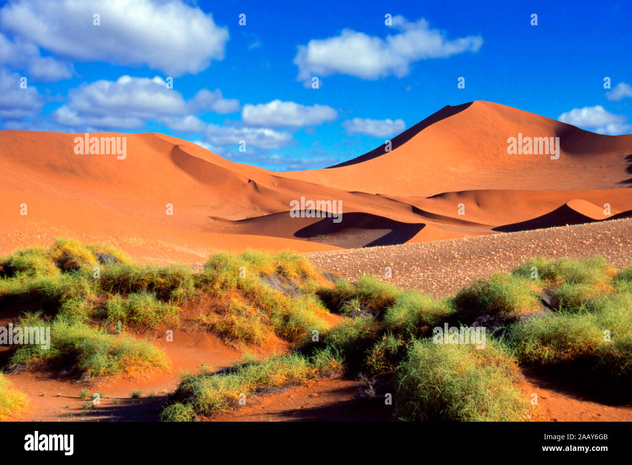 Sandduene - Sossusvlei - Namib Naukluft Nationalpark Stockfoto