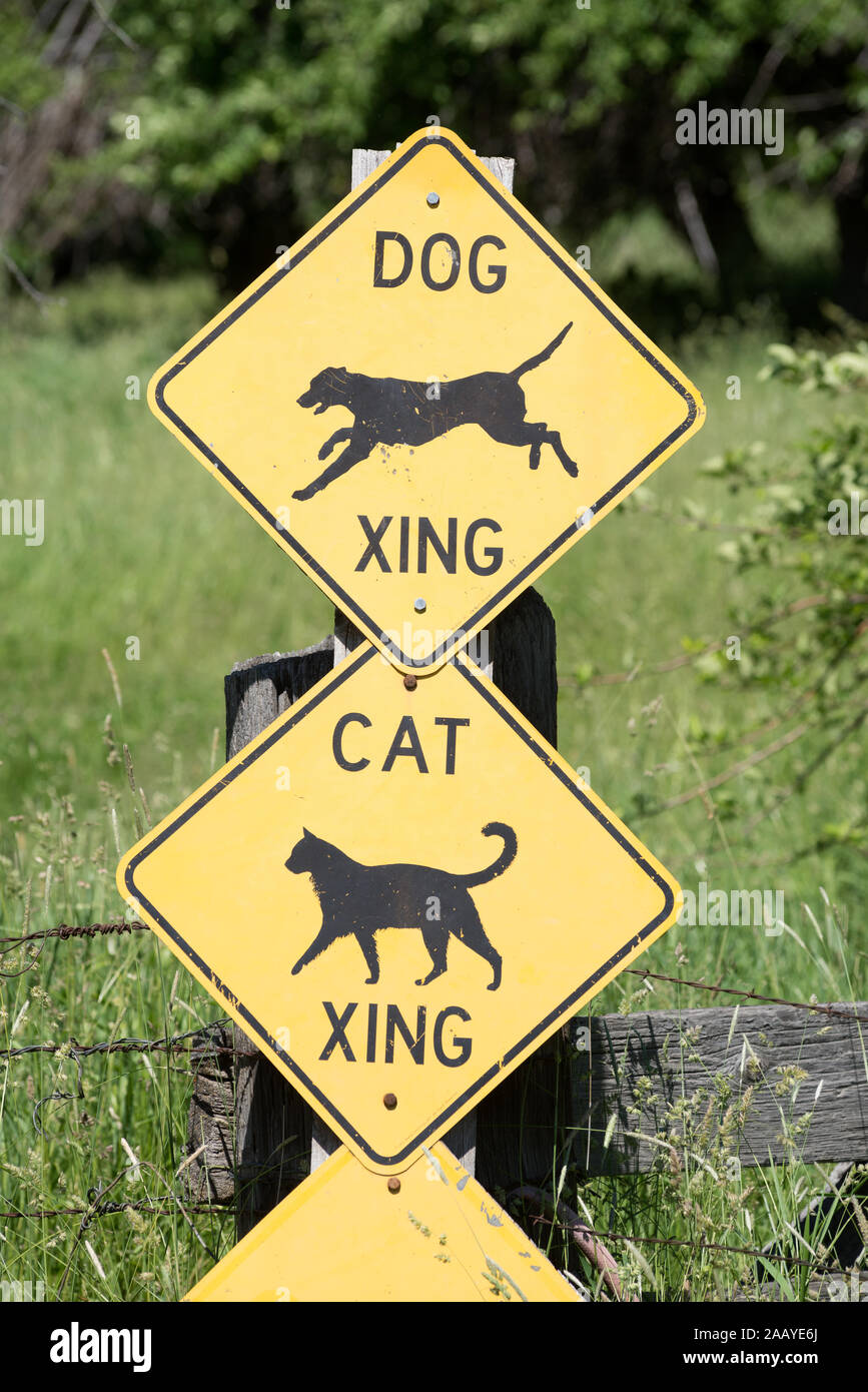 Hund und Katze Kreuzung Zeichen, Grant County, Oregon Stockfotografie -  Alamy