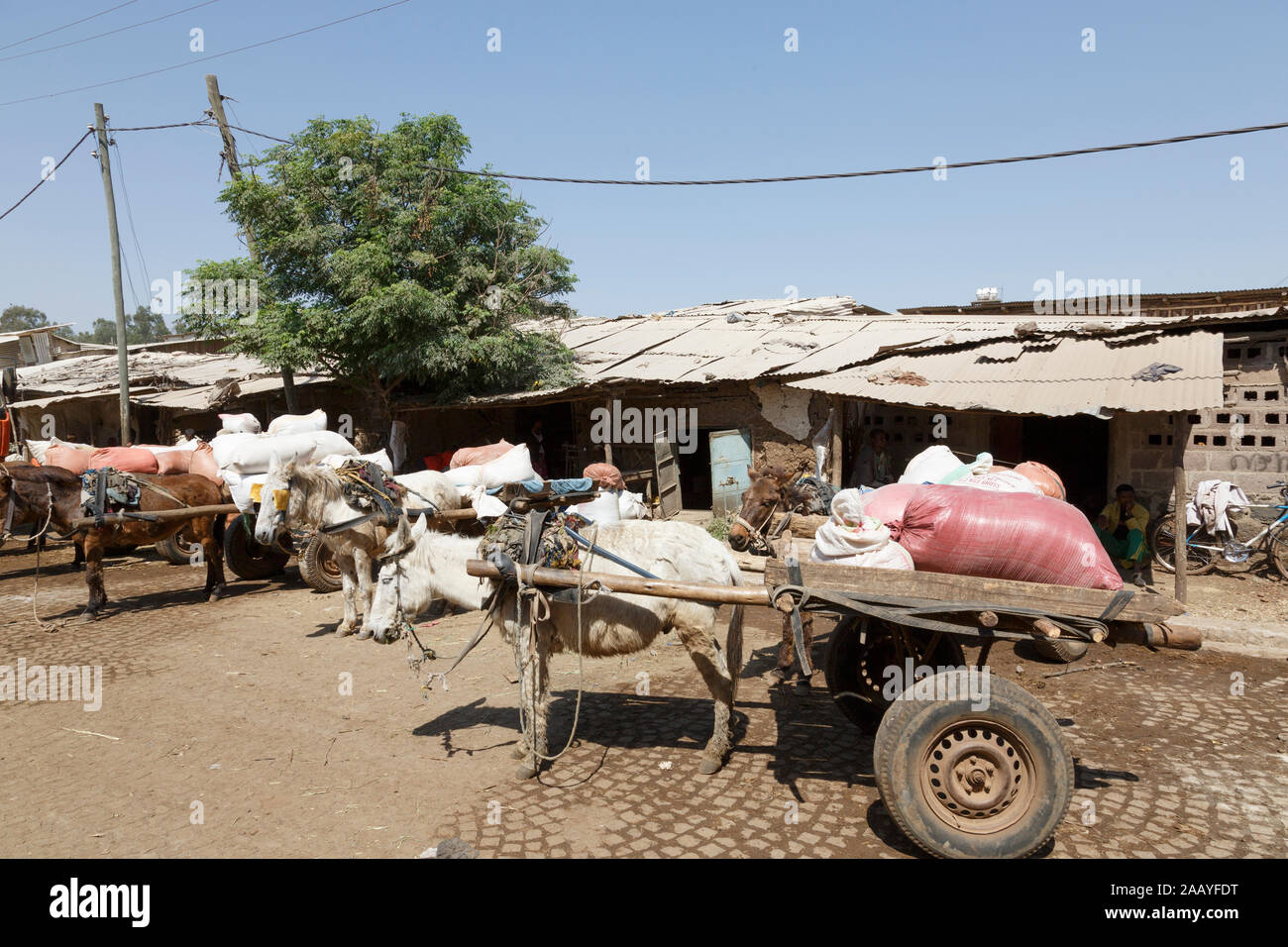 Bahir Dar, Äthiopien, 14. Februar 2015: Esel Wagen steht auf einem Markt bereit waren zu transportieren Stockfoto