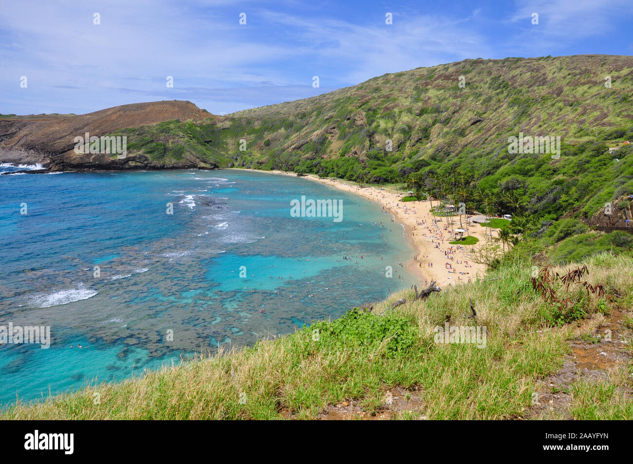 Schnorcheln am Korallenriff der Hanauma Bay, ein ehemaliger Vulkankrater, jetzt eine nationale Reserve in der Nähe von Honolulu, Oahu, Hawaii, USA. Stockfoto