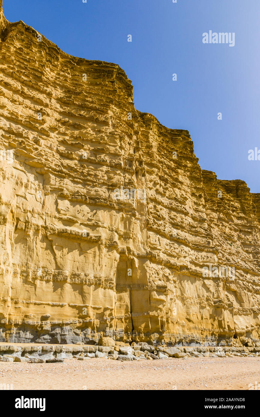 Nahaufnahme der dramatischen geschichteten Klippen von Bridport Sandstein (welche Form eine große Ölbehälter in der Nordsee) entlang der West Dorset Jurassic Coast wit Stockfoto