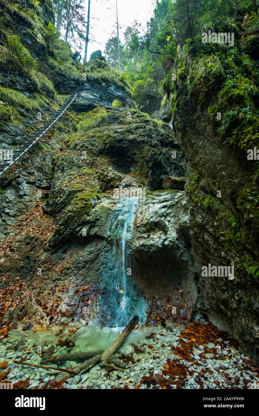 Wanderweg in Sucha Bela Schlucht in Slovensky raj Nationalpark, Slowakei. Stockfoto