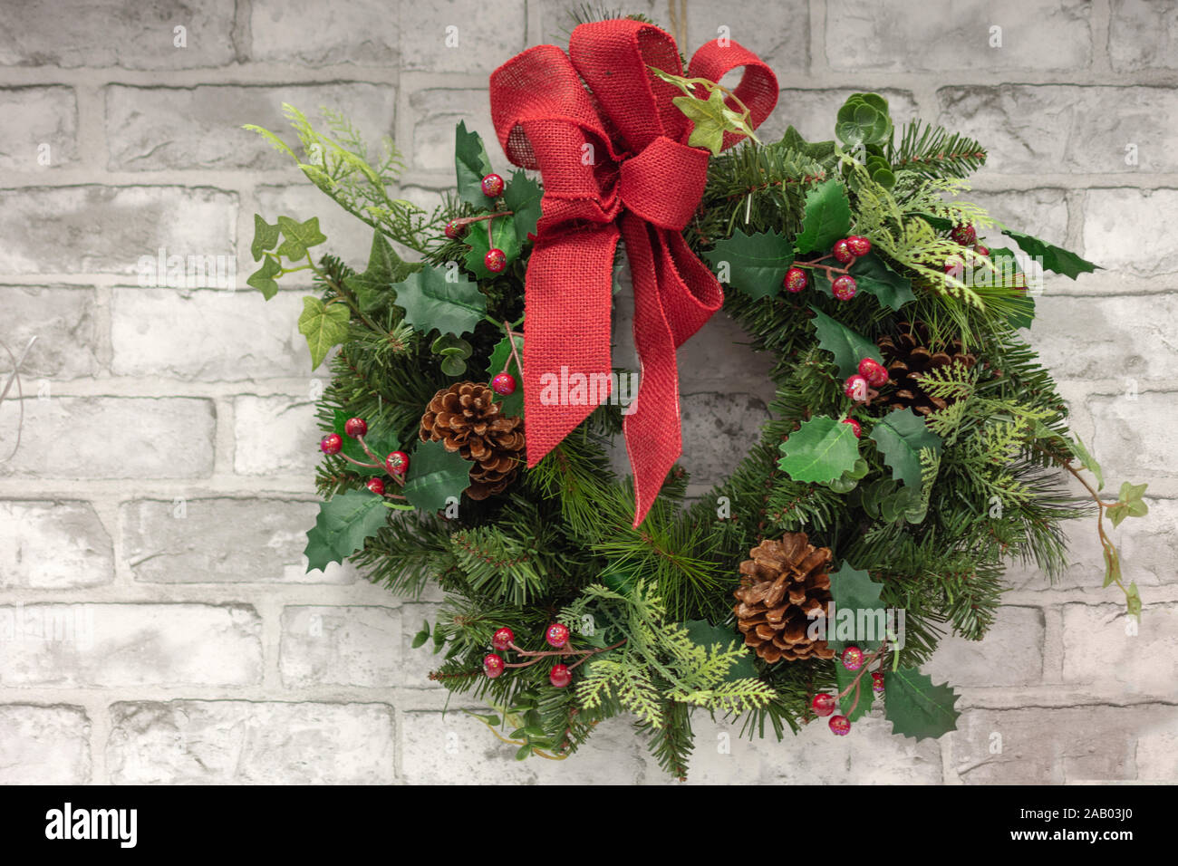 größter weihnachtsstern der welt Große Weihnachtssternblume (Poinsettia) kaufen