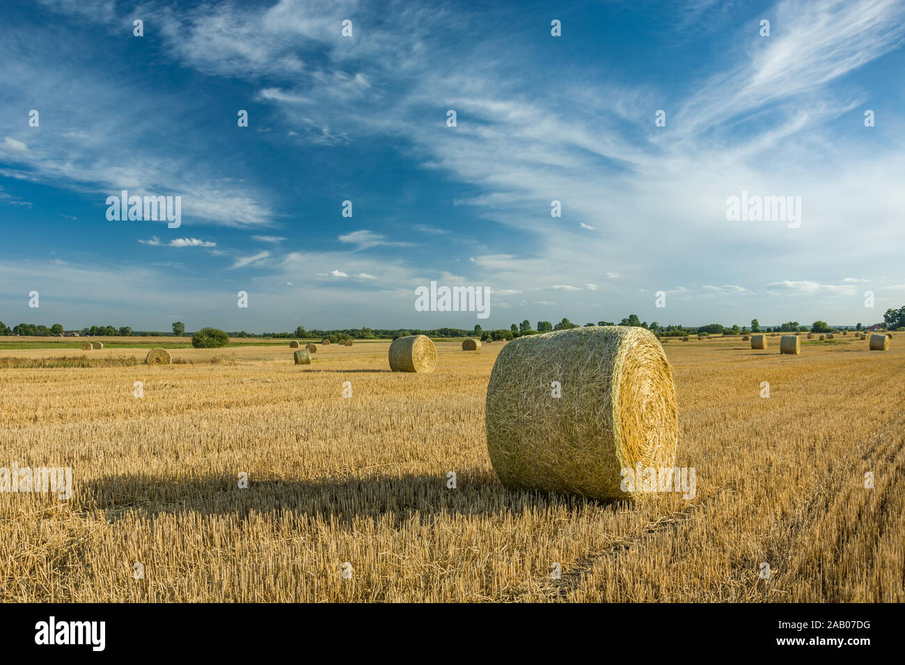 Kreise der geernteten Heu auf dem Feld und weißen Wolken am blauen Himmel, im östlichen Polen. Stockfoto