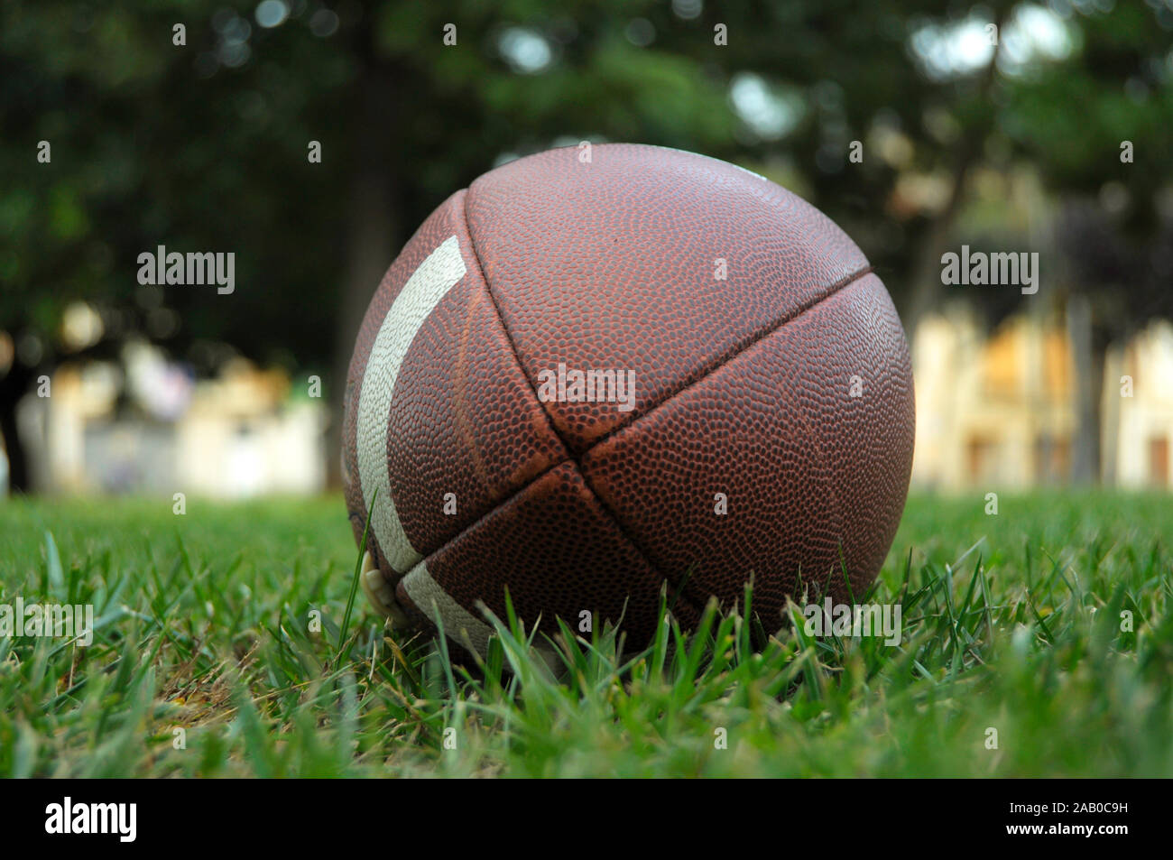 American football Ball auf dem Rasen Stockfoto
