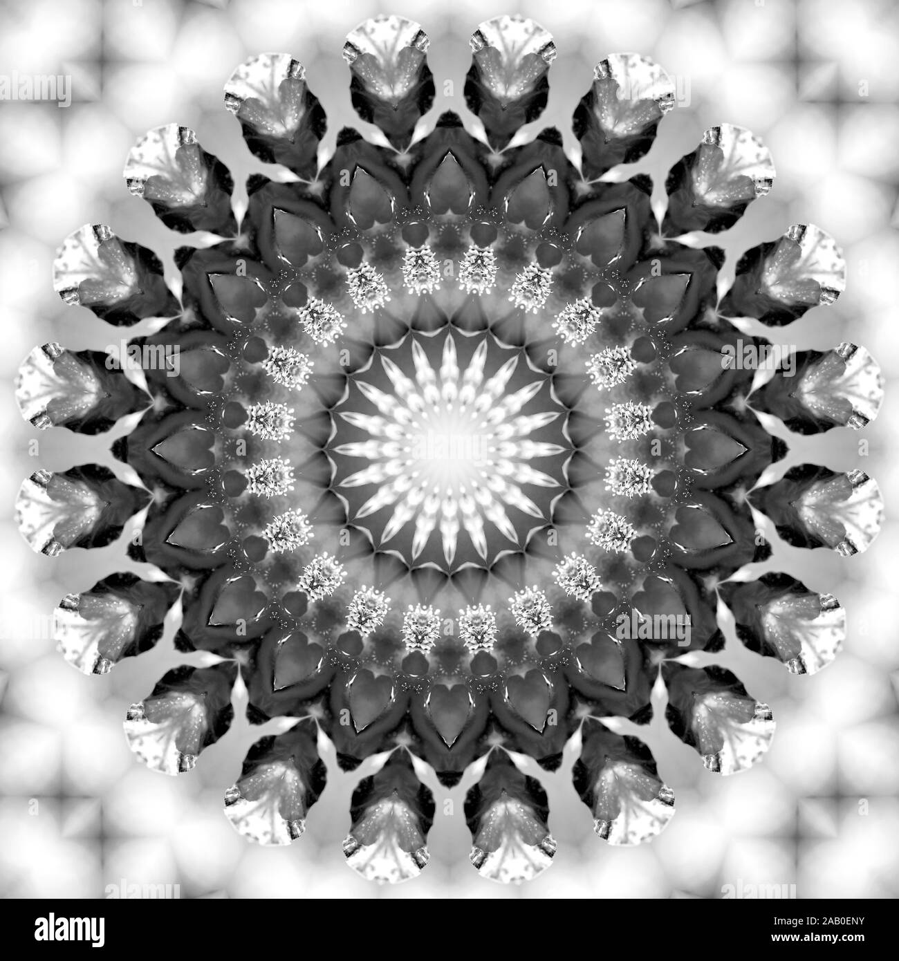 Florale kaleidoskopartige Muster. Einfarbige geometrische Verzierung. Mandala. Abstrakte schwarzen und weißen Hintergrund Stockfoto