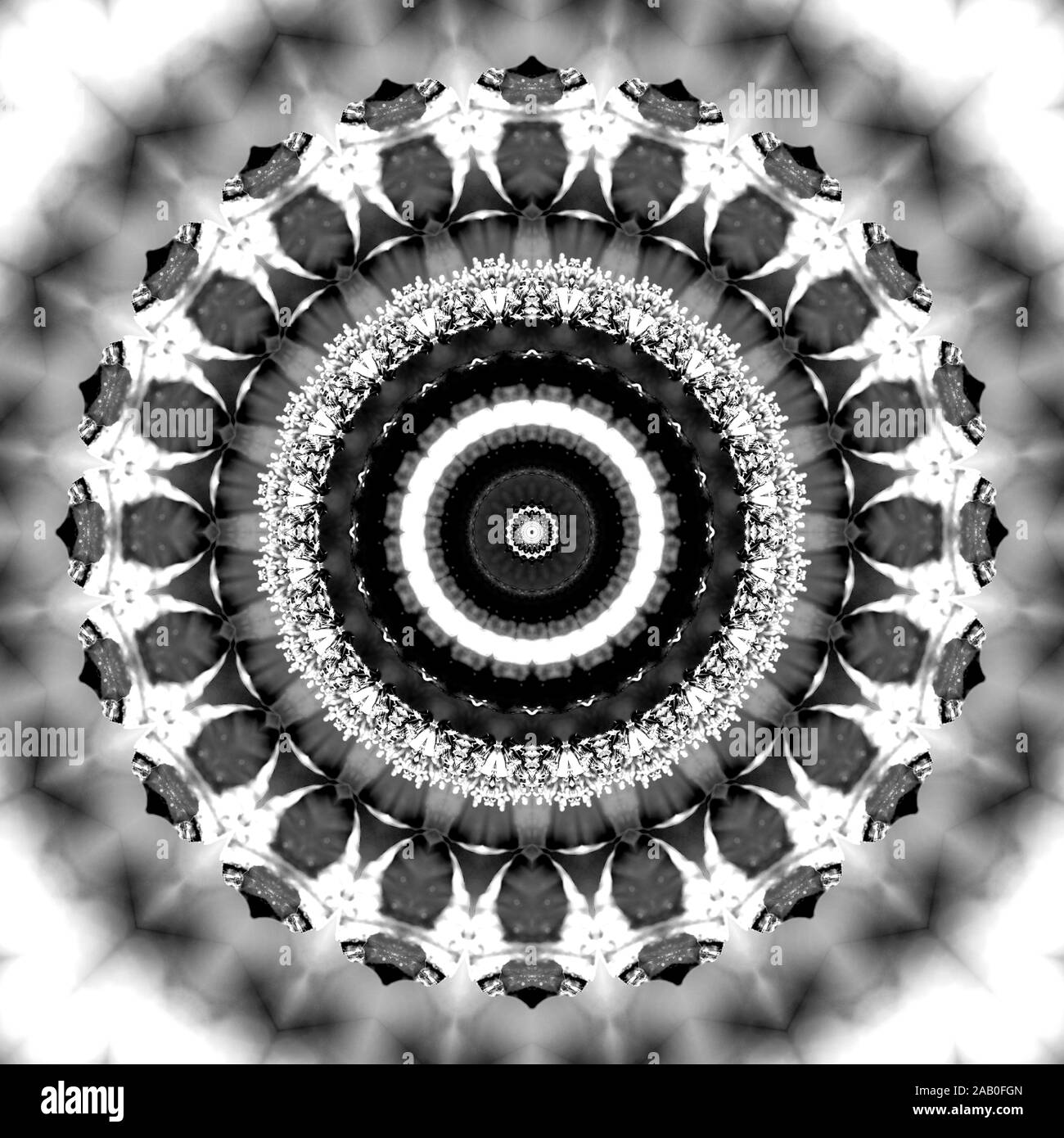 Florale kaleidoskopartige Muster. Einfarbige geometrische Verzierung. Mandala. Abstrakte schwarzen und weißen Hintergrund Stockfoto