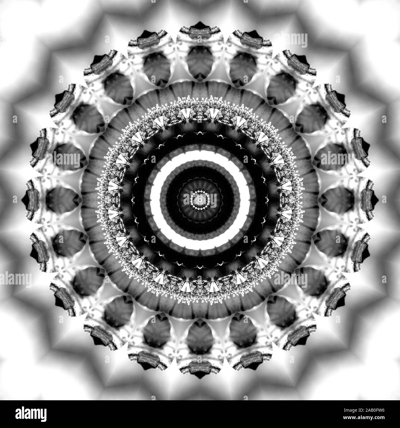 Florale kaleidoskopartige Muster. Einfarbige geometrische Verzierung. Mandala. Abstrakte schwarzen und weißen Hintergrund Stockfoto