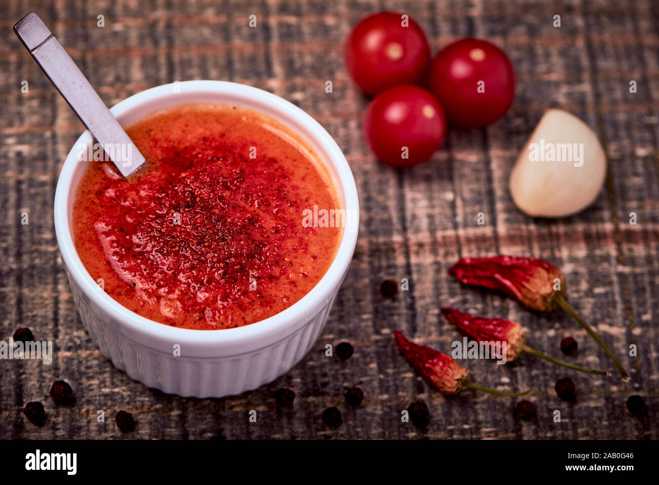 Leckere hausgemachte Pikanten rohe Tomatensauce in eine Porzellanschale mit frischen Tomaten. Nahaufnahme eines amerikanischen Soße aus Tomaten hergestellt. Stockfoto