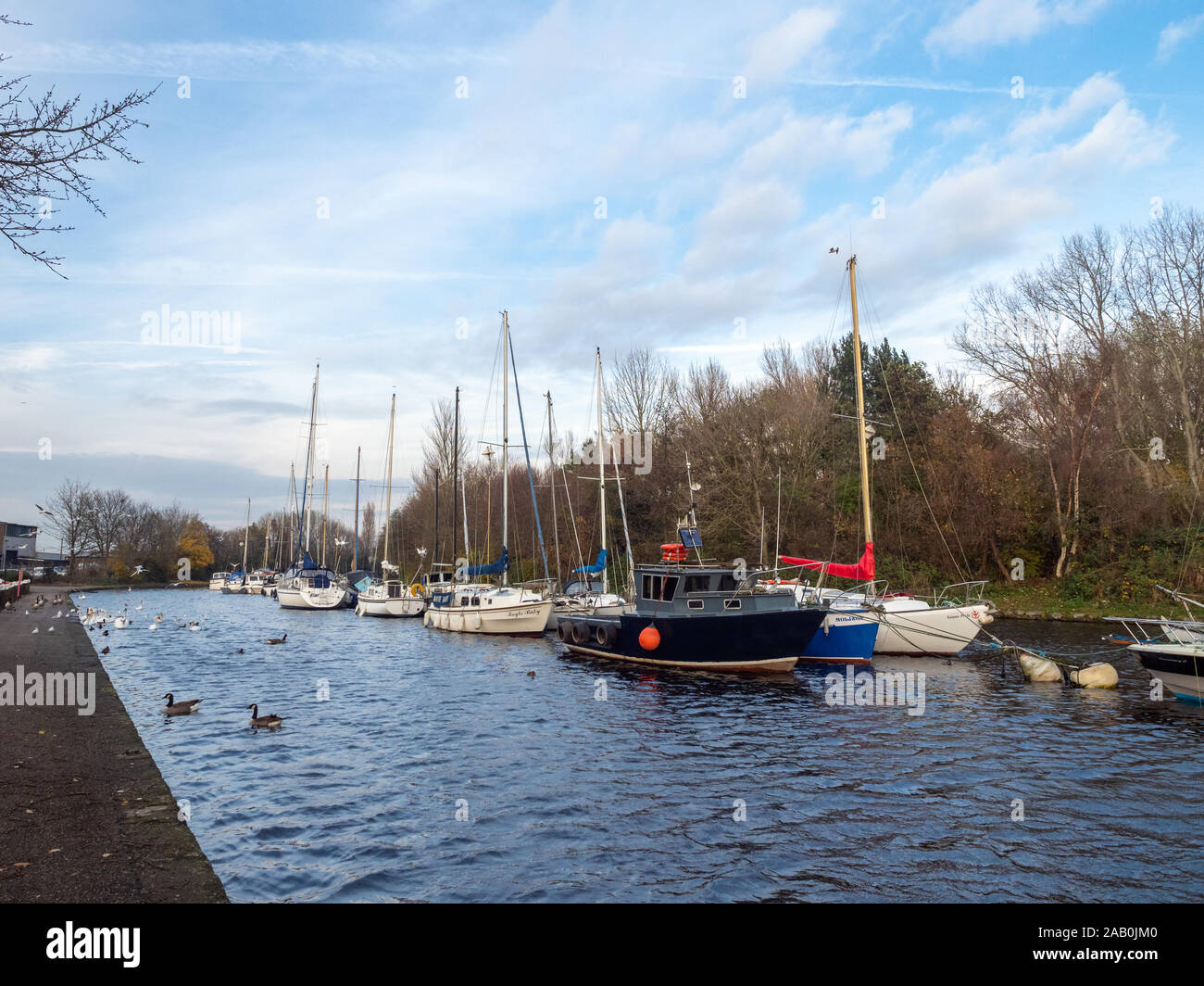 Boote bei Spike Island Marina in Wdnes, Cheshire Stockfoto