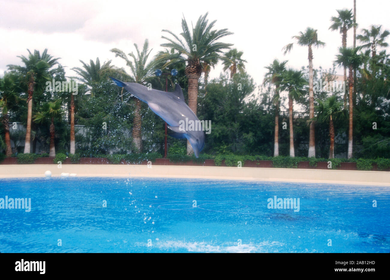 Las Vegas, Nevada, USA, 11. März 1995 ein Delphin bei Siegfried und Roy Der geheime Garten am 11. März 1995 im Mirage Hotel und Casino in Las Vegas, Nevada, USA. Foto von Barry King/Alamy Stock Foto Stockfoto