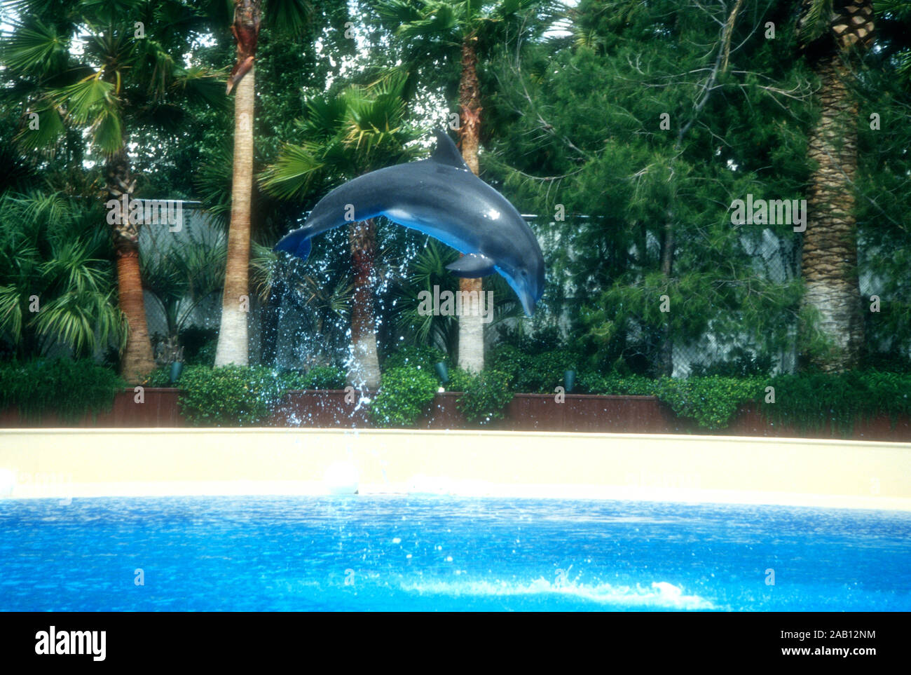 Las Vegas, Nevada, USA, 11. März 1995 ein Delphin bei Siegfried und Roy Der geheime Garten am 11. März 1995 im Mirage Hotel und Casino in Las Vegas, Nevada, USA. Foto von Barry King/Alamy Stock Foto Stockfoto