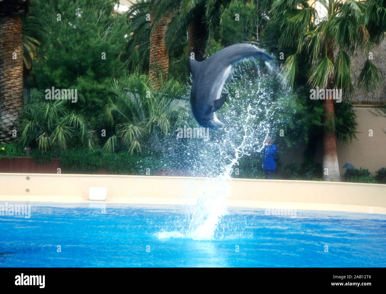 Las Vegas, Nevada, USA, 11. März 1995 ein Delphin bei Siegfried und Roy Der geheime Garten am 11. März 1995 im Mirage Hotel und Casino in Las Vegas, Nevada, USA. Foto von Barry King/Alamy Stock Foto Stockfoto