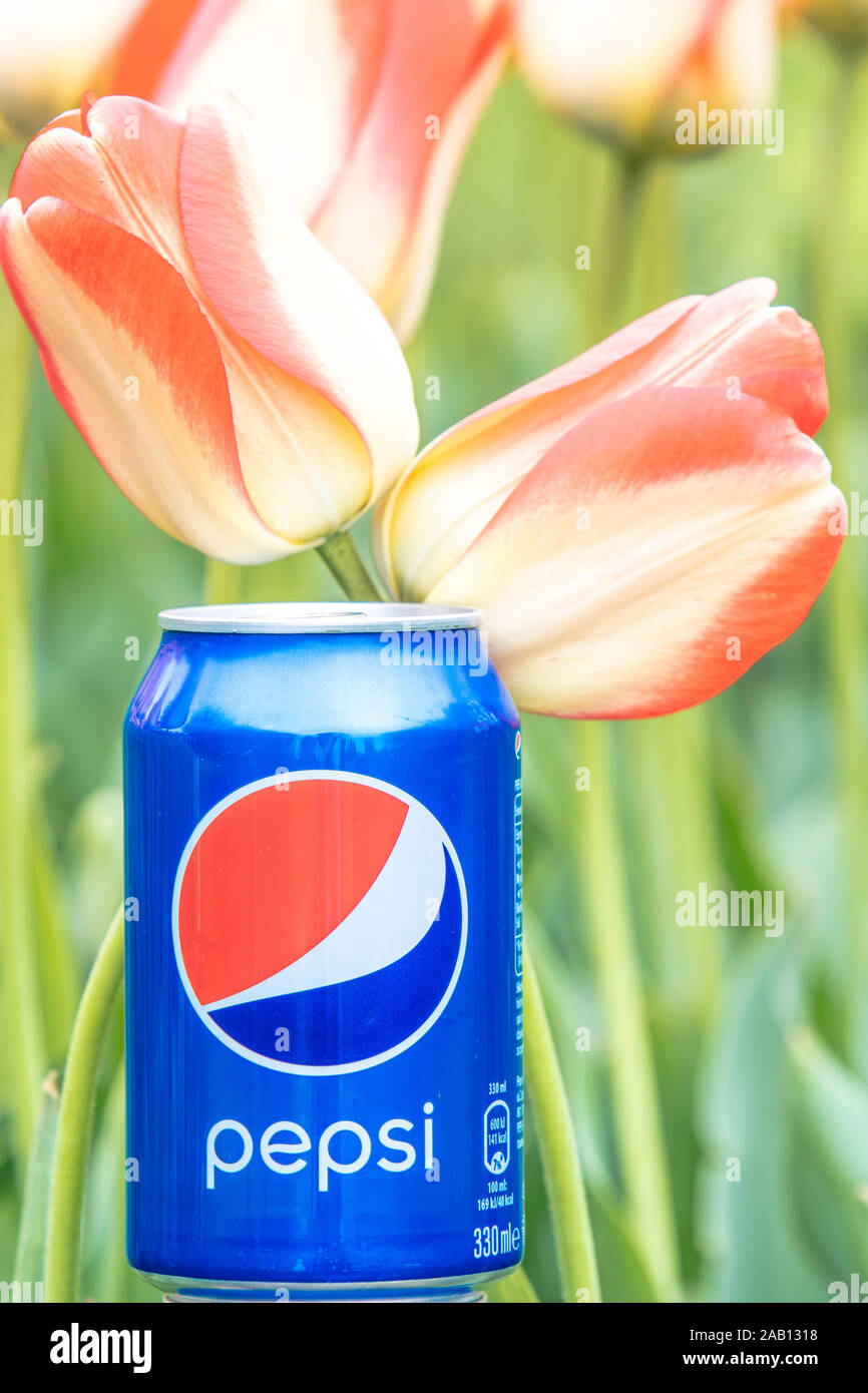 Pepsi Cola Dose 330 ml Blumen und Tulpen Hintergrund. Pepsi ist ein kohlensäurehaltiges Erfrischungsgetränk, der produziert wird und durch PepsiCo hergestellt Stockfoto