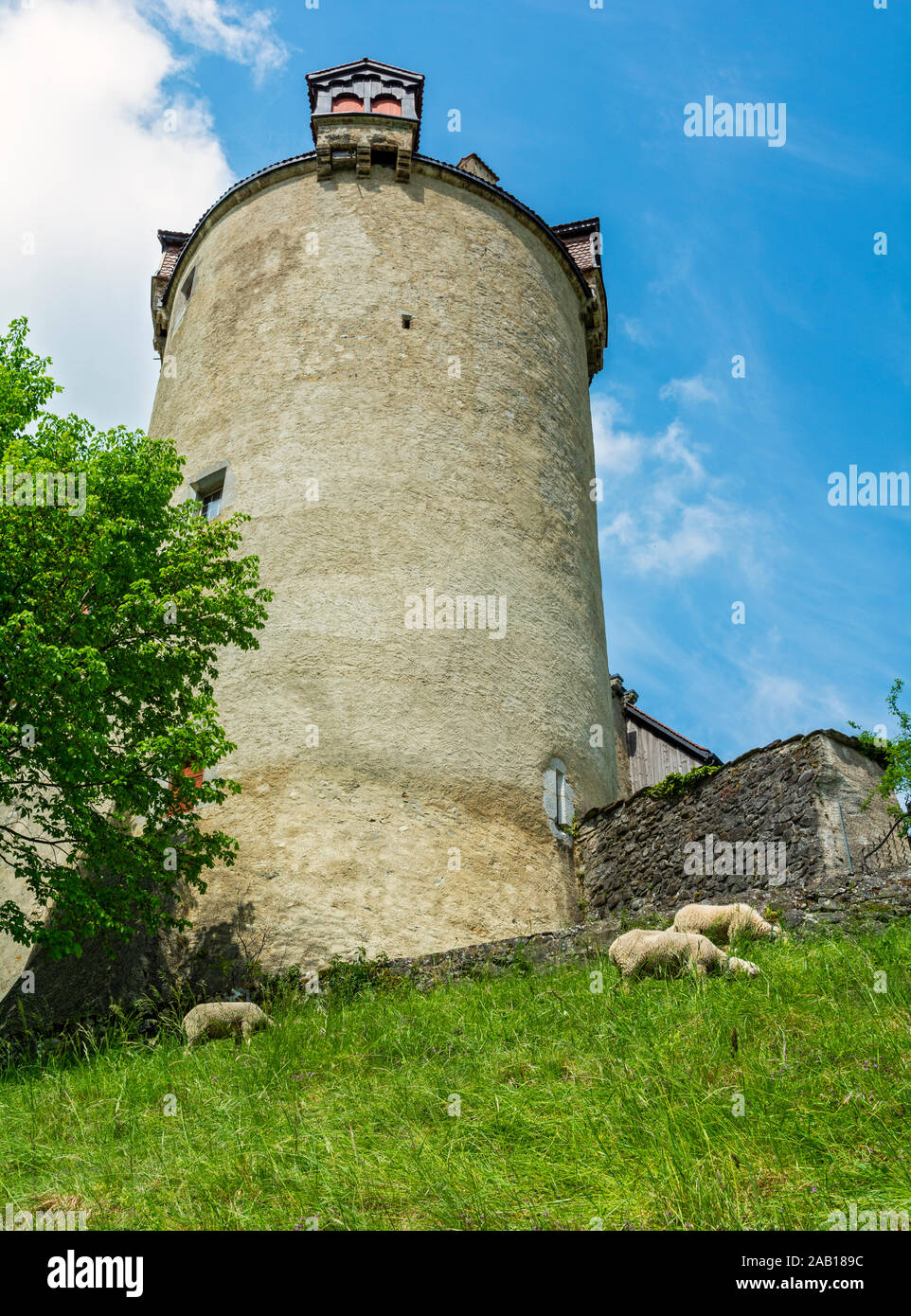 Schweiz, Fribourg, Kanton, Gruyeres Schloss, erbaut 1270-82, Bastion, Schafe weiden Stockfoto