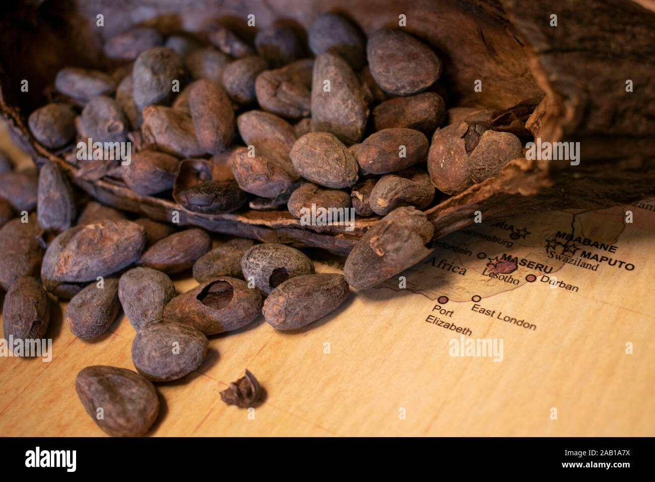 Rohstoff Kakao ist auf einer Karte verstreut. Stockfoto
