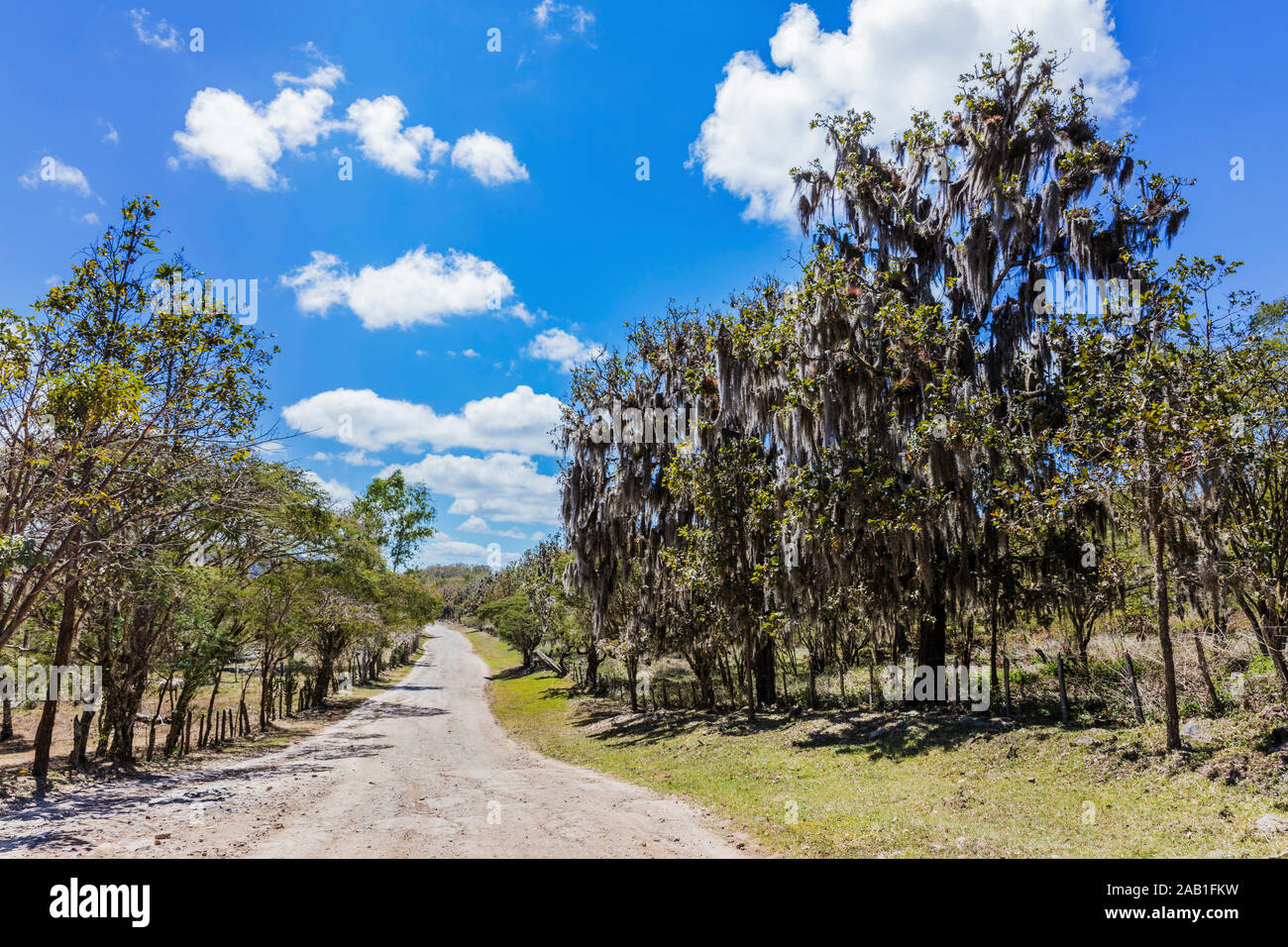 Landschaft der Miraflor Naturpark in der Nähe von Lulea in Nicaragua Stockfoto