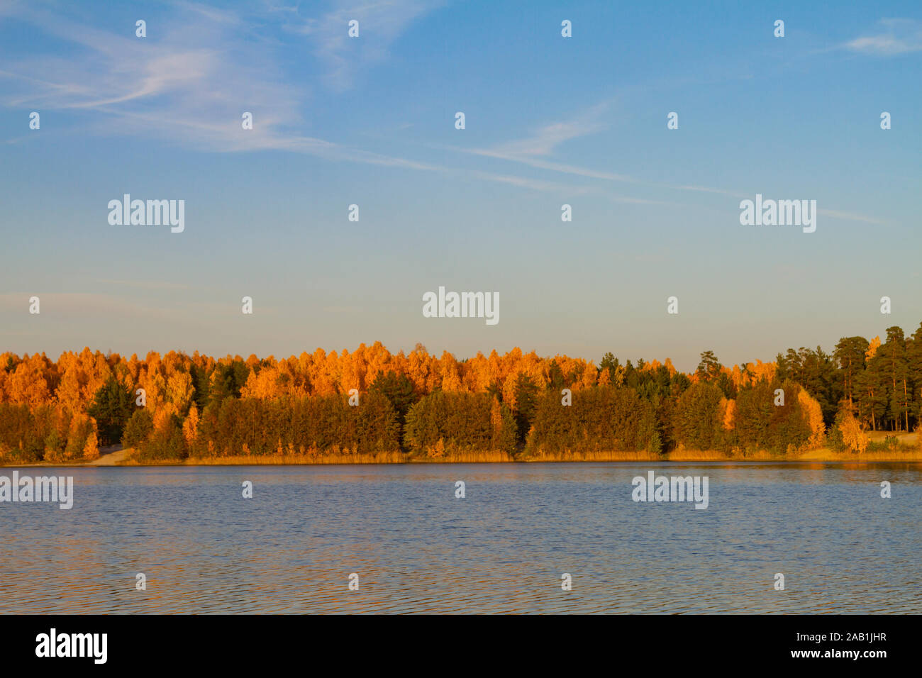 Wunderschöne Aussicht auf Herbst Wald am Ufer des Sees und blauer Himmel. Goldene Zeit des Jahres. Stockfoto