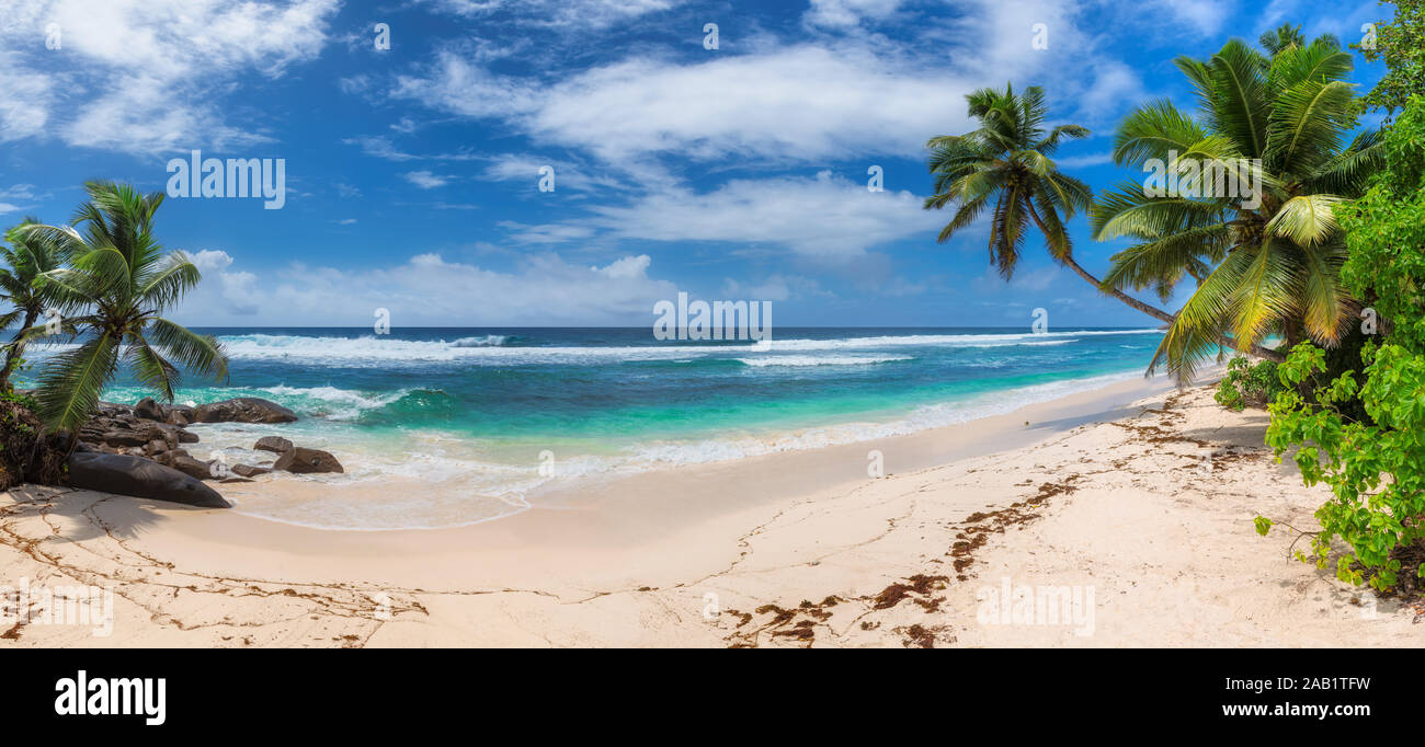 Tropischer Strand mit Palmen und türkisblaues Meer, Panorama Stockfoto