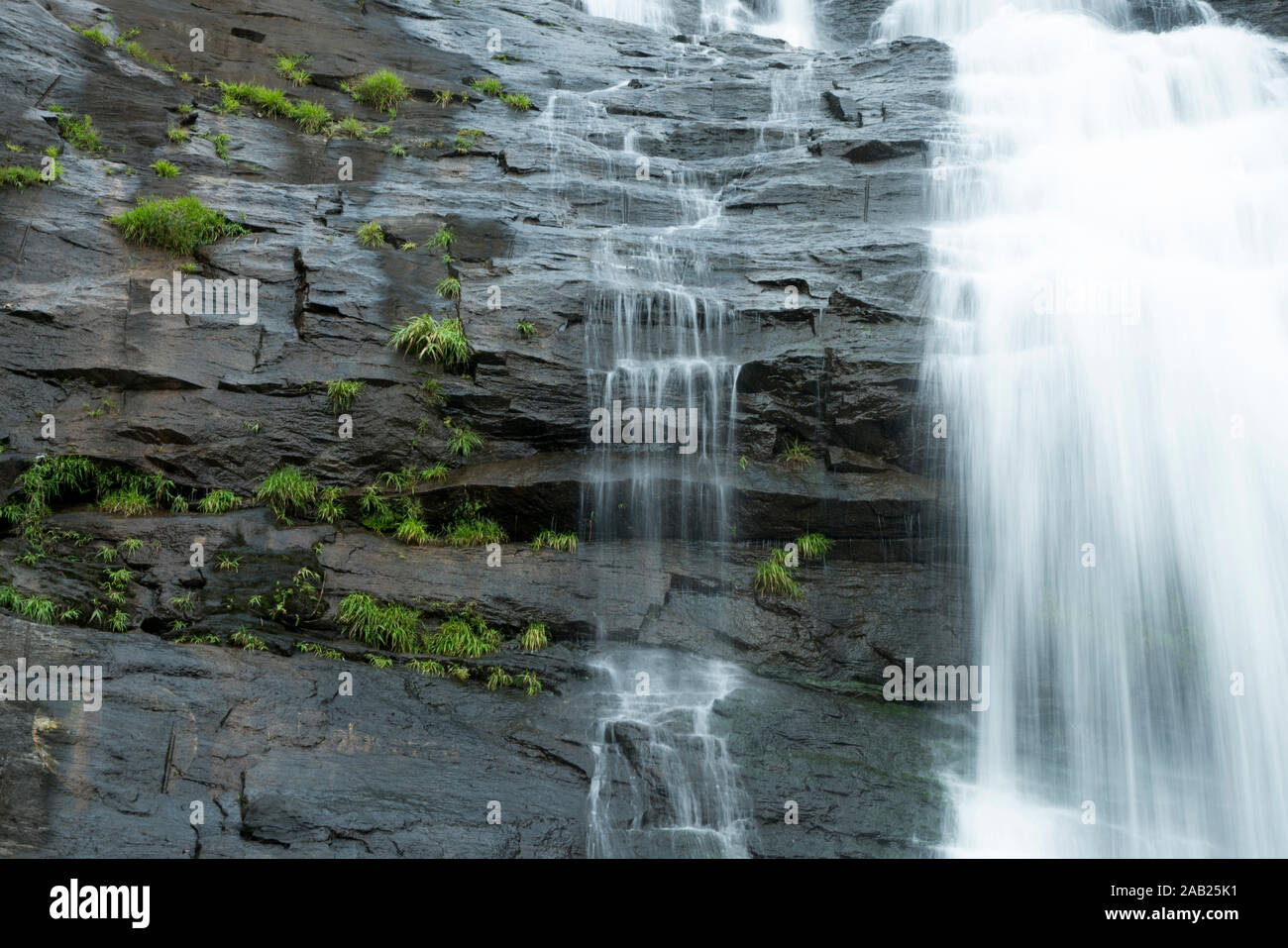 Cheeyappara Wasserfälle auf dem Weg nach Munnar, Kerala Stockfoto