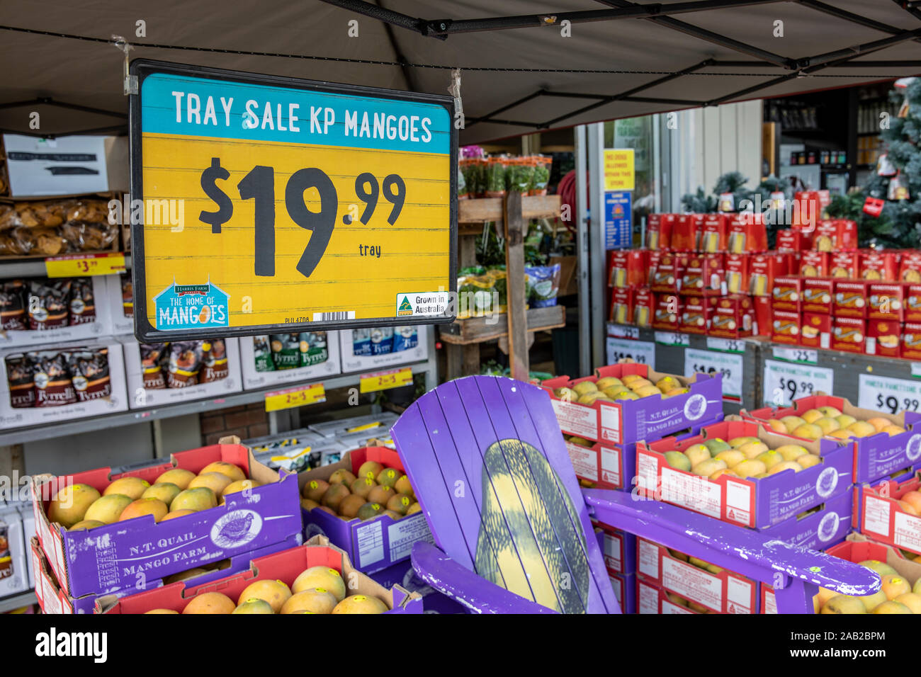 Harris Farm Supermarkt und Tabletts mit frischem Obst Mangos im Verkauf in Sydney, NSW, Australien Stockfoto