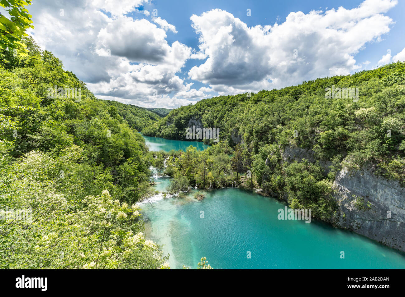 Seen im Nationalpark Plitvicer Seen Parks Stockfoto
