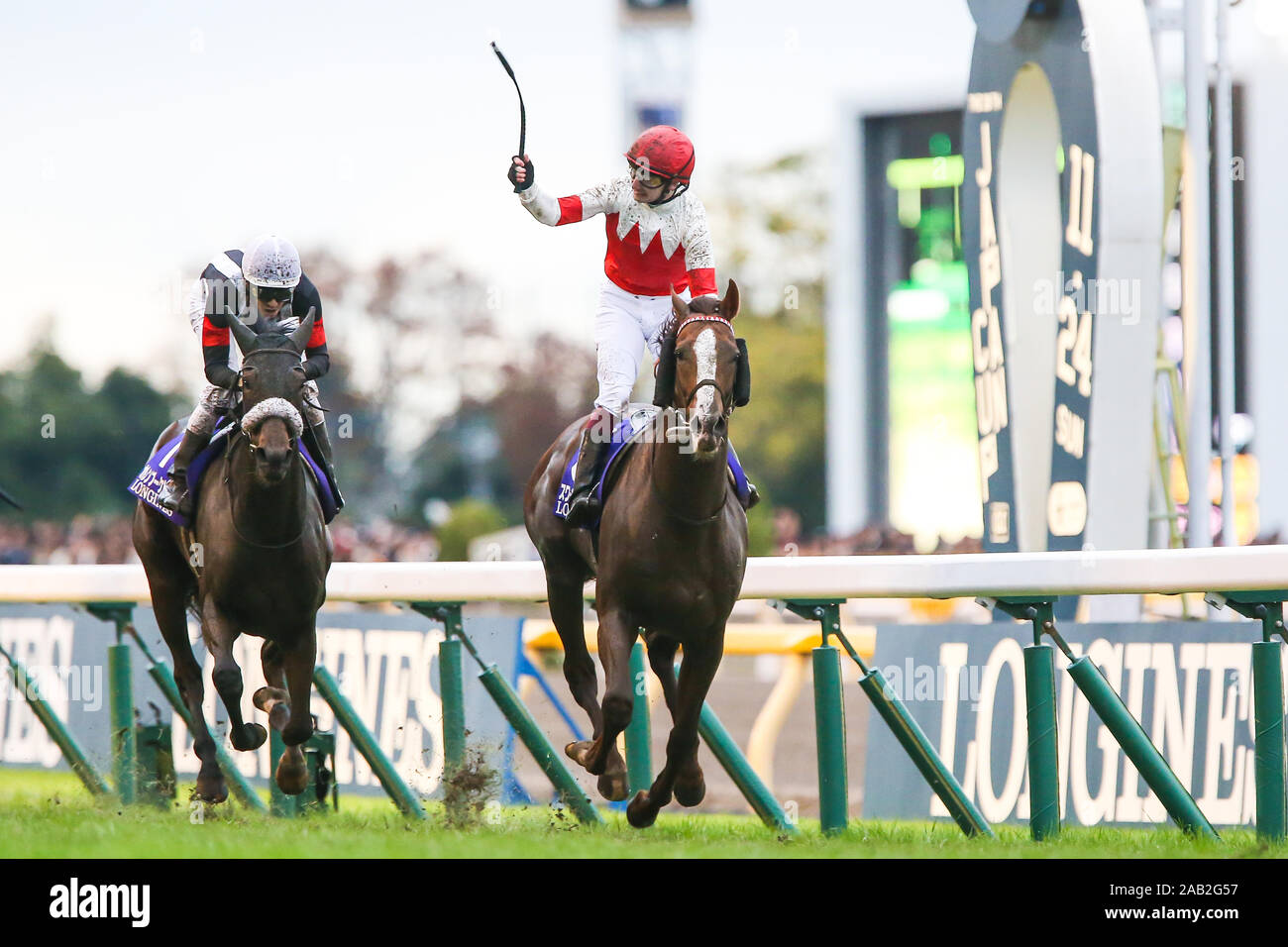 Tokio, Japan. 24 Nov, 2019. Suave Richard (Oisin Murphy) Horse Racing: Suave Richard (R) geritten von Oisin Murphy gewinnt die 39. Japan Cup in Tokio Pferderennbahn in Tokio, Japan. Credit: yoshifumi Nakahara/LBA/Alamy leben Nachrichten Stockfoto