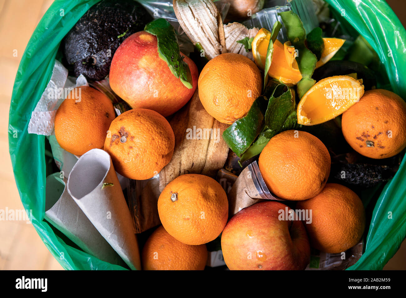 Food Waste problem Konzept. Verdorbenes essen in der Mülltonne. Verfaulte Orangen und Äpfel. Ökologische Fragen. Stockfoto