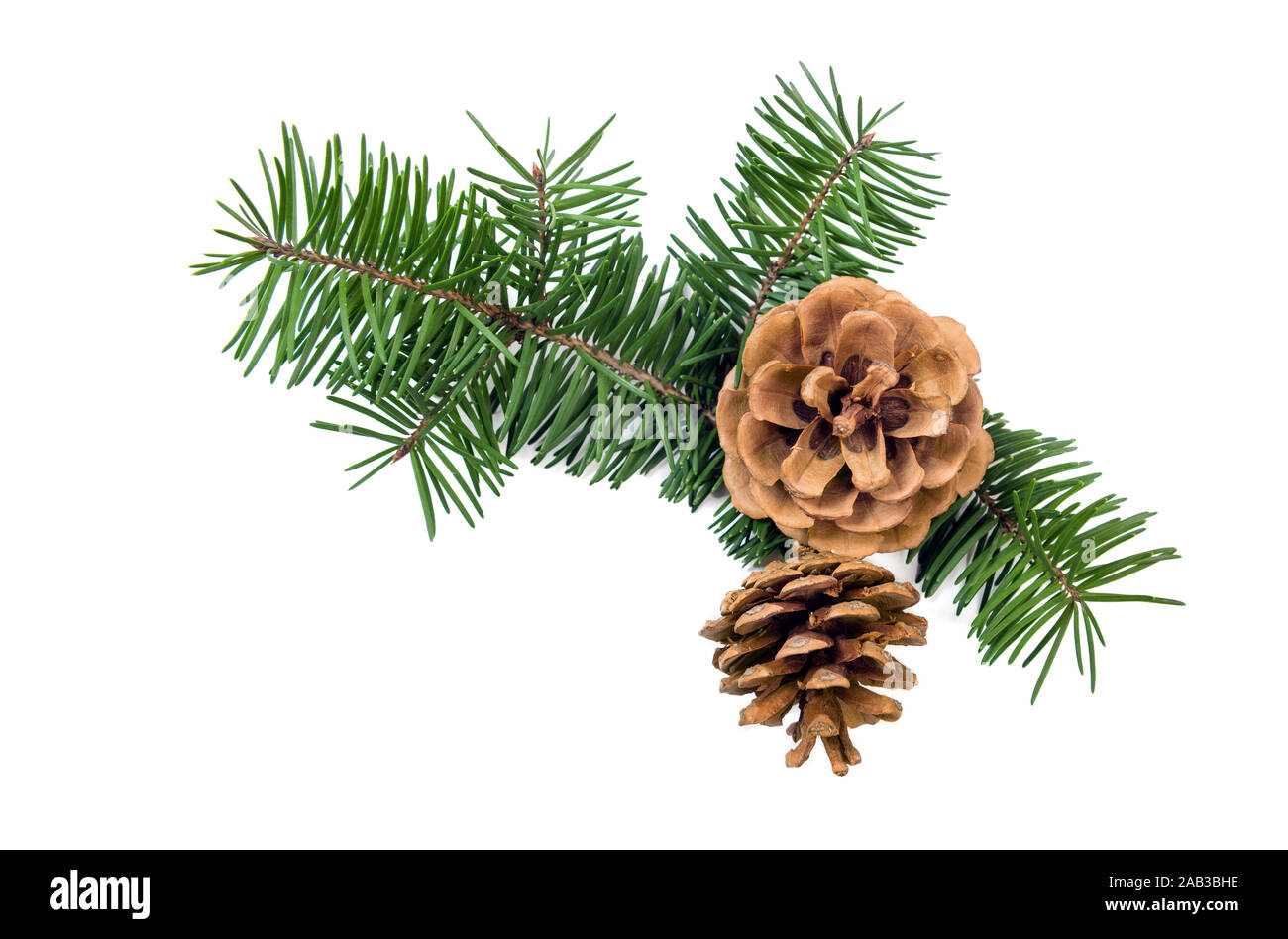 Nahaufnahme von Pine Cone Dekoration auf weißen Hintergrund für Design. Winterurlaub design Element. Frohes neues Jahr Konzept Stockfoto