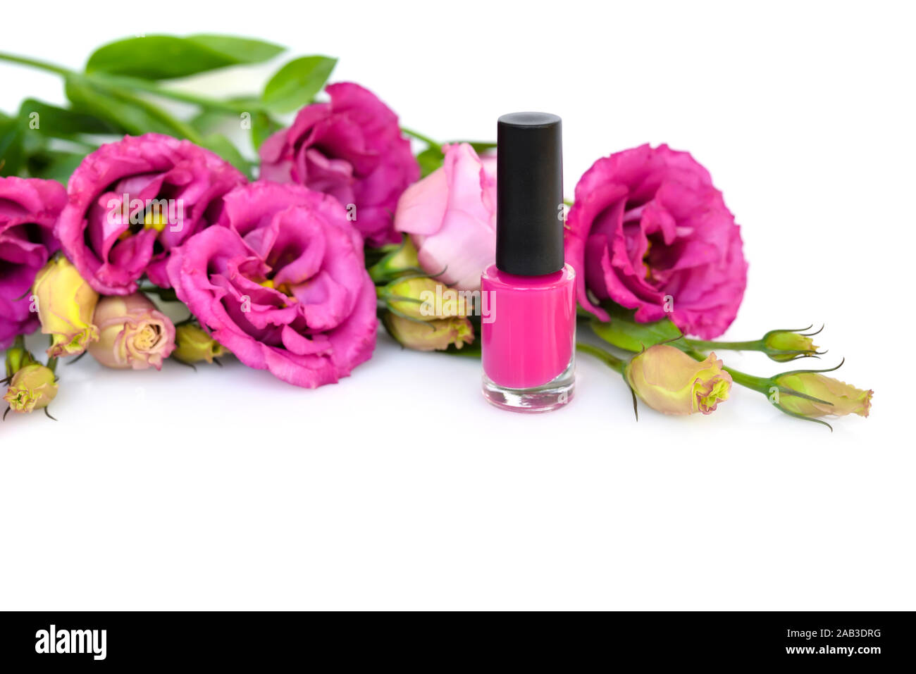 Rosa Nagellack mit Blumen eustoma auf weißem Hintergrund Stockfoto