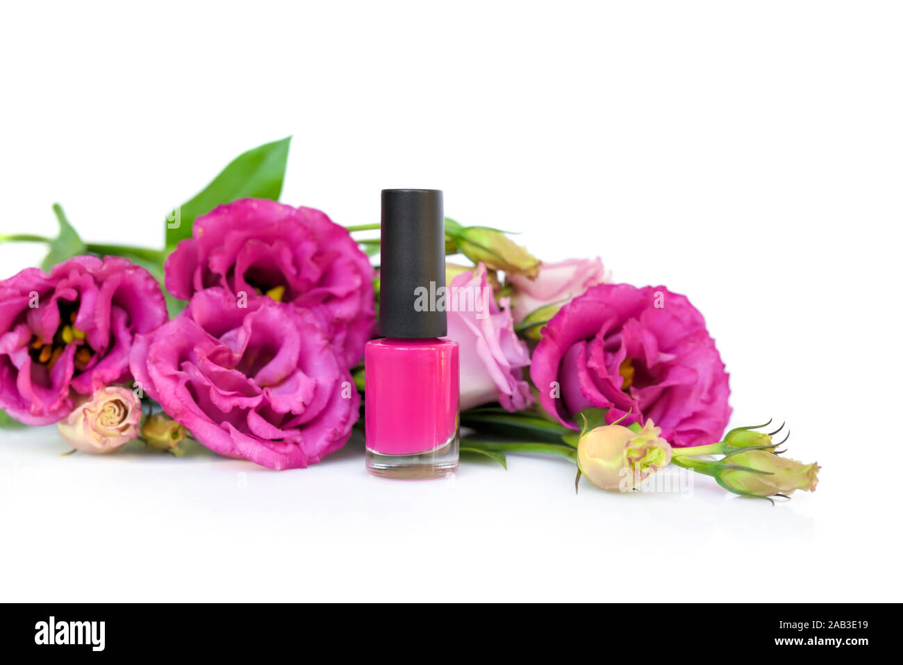 Rosa Nagellack mit Blumen eustoma auf weißem Hintergrund Stockfoto
