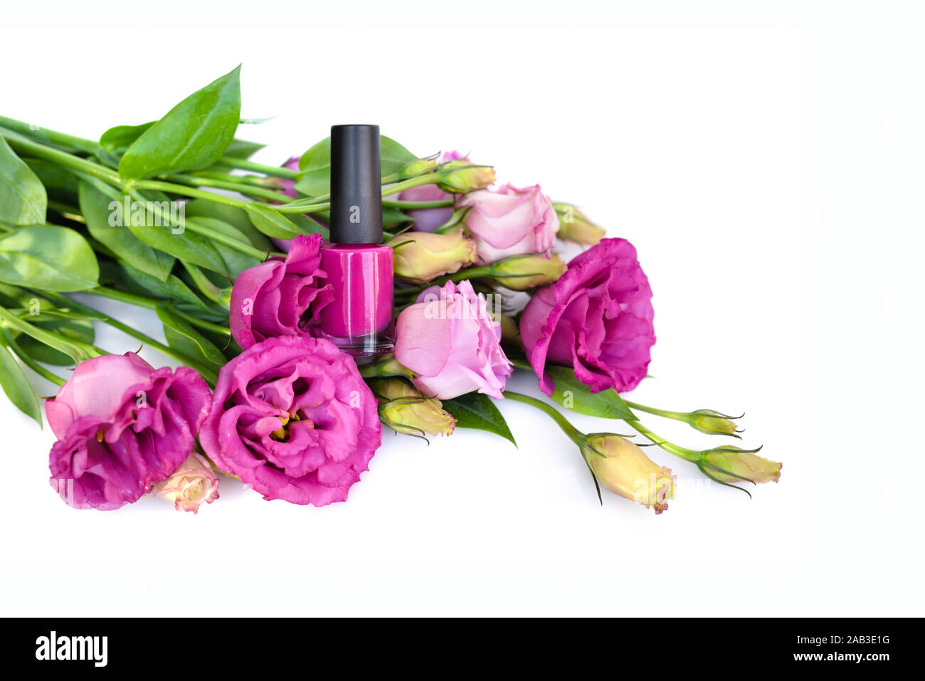 Rosa Nagellack mit Blumen eustoma auf weißem Hintergrund Stockfoto