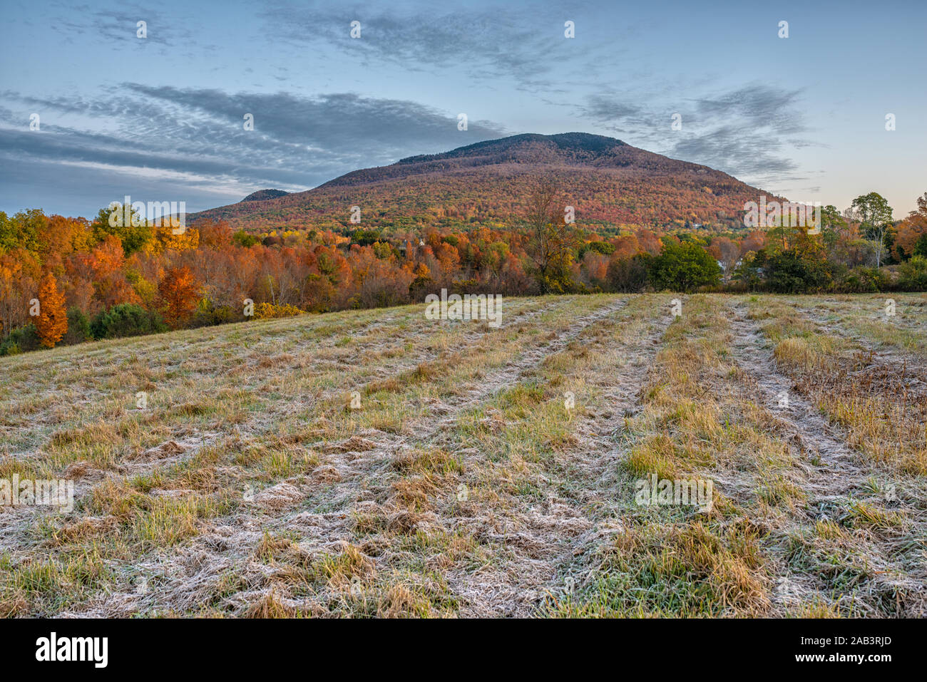 Morgendliche Frostszene auf einem Feld mit Bergen im Hintergrund in der Stadt Manchester, Vermont. Stockfoto