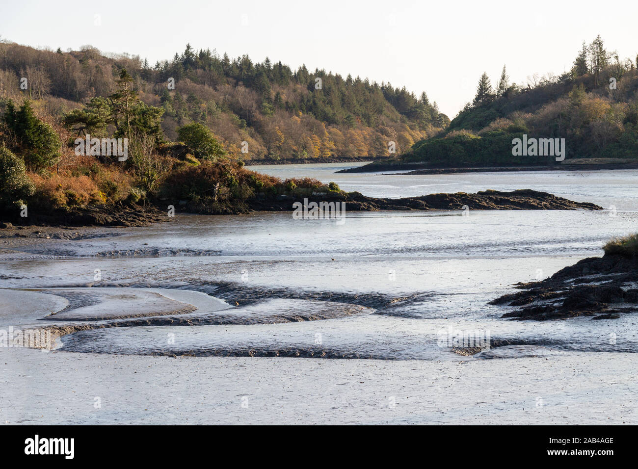 Wattenmeer bei Ebbe castlehaven Hafen Irland Stockfoto