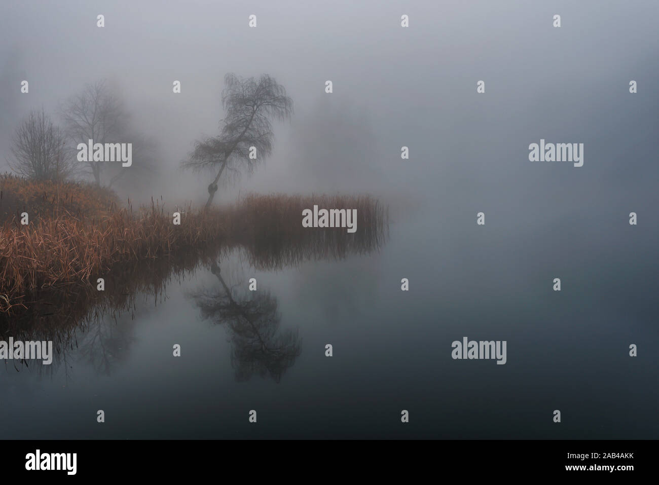 Misty Herbst Morgen von Lakeside Stockfoto