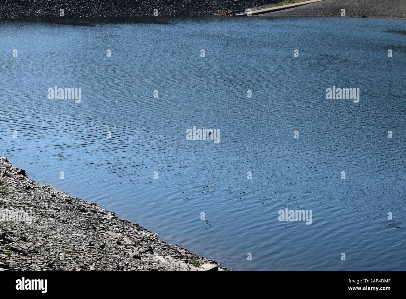 Rursee im Nationalpark Eifel, Stausee im Sommer 2019 Stockfoto