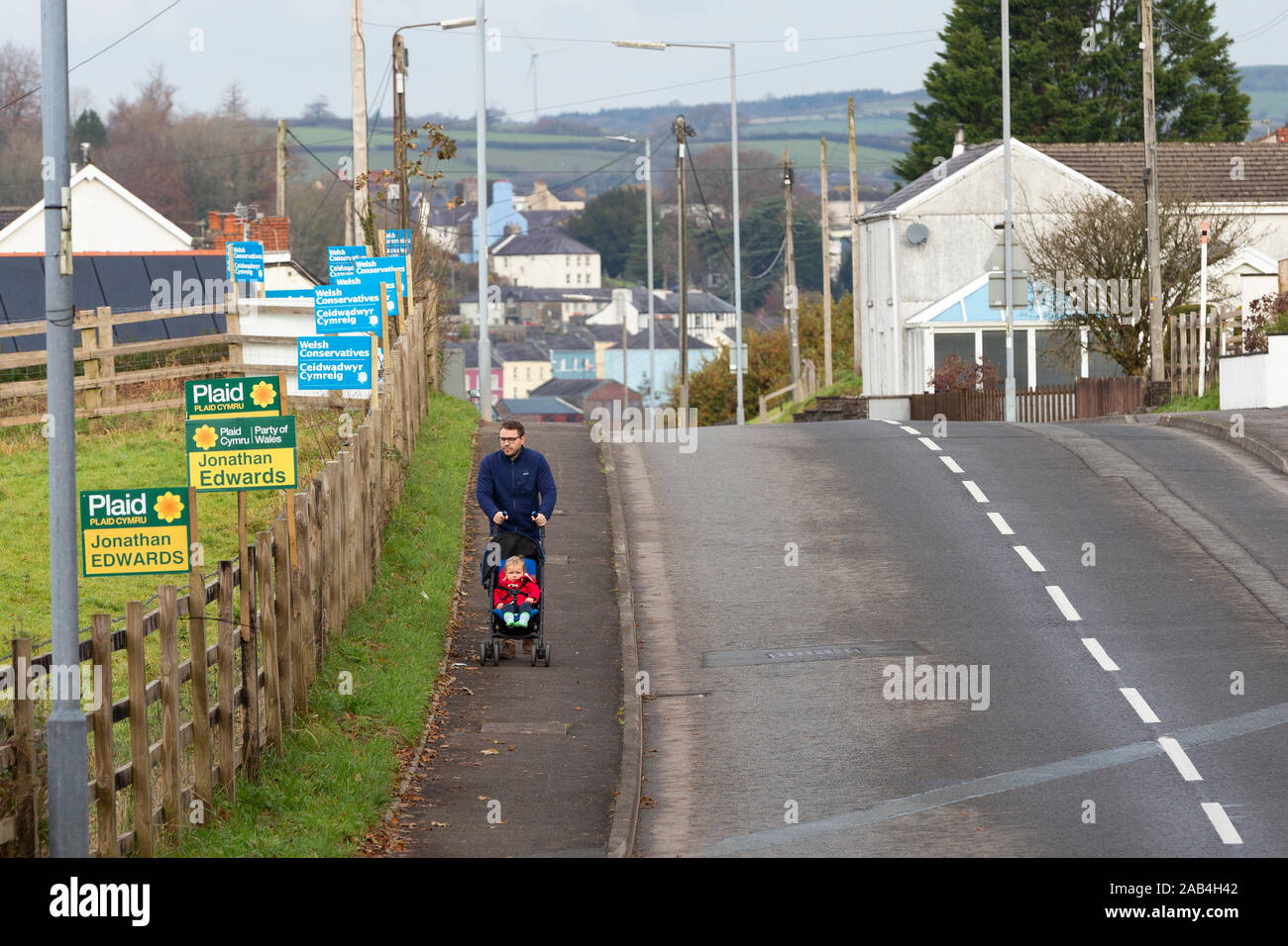 Ein Mann mit Kinderwagen Vergangenheit Plaid Cymru und Walisische konservative Zeichen an der Seite der Straße in der Nähe von Peebles, Carmarthenshire, Wales vor der Wahl 20. Stockfoto
