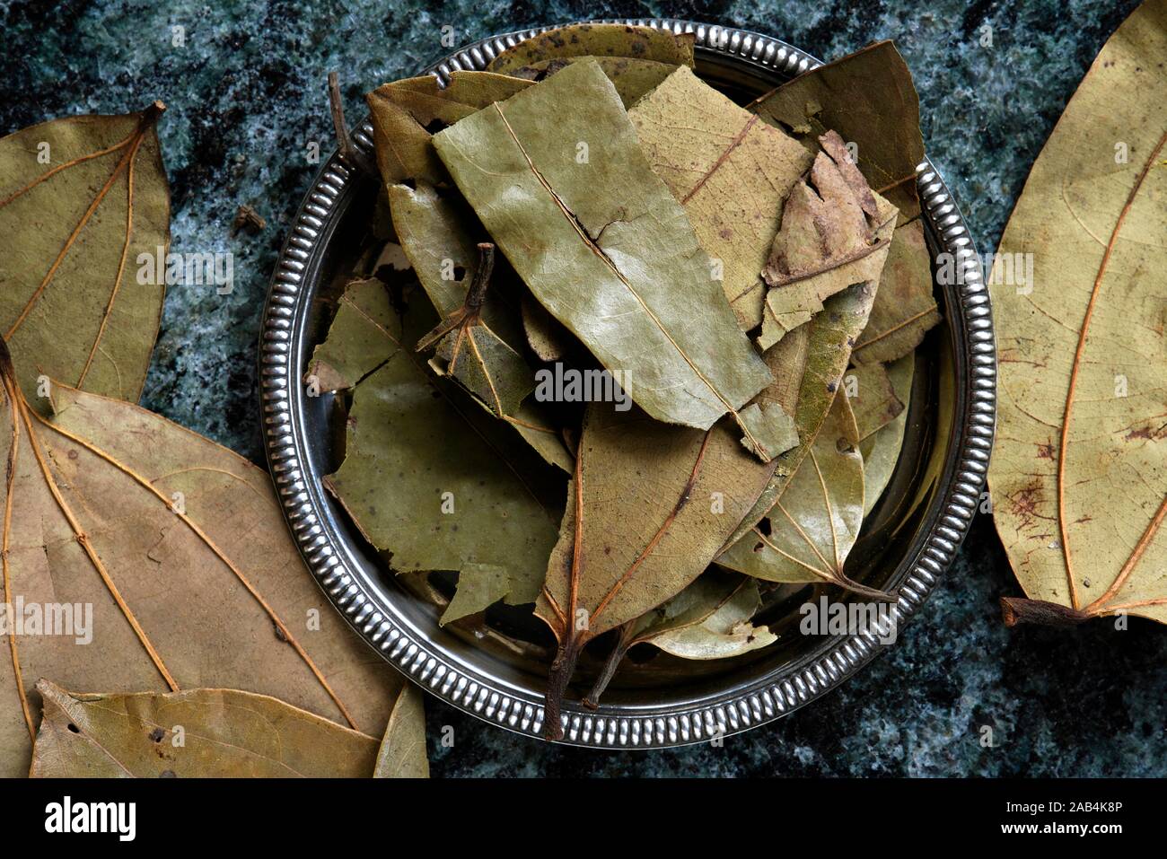 Zimt Getrocknete Blätter, Blätter in eine Schüssel (Cinnamomum), Indien Stockfoto