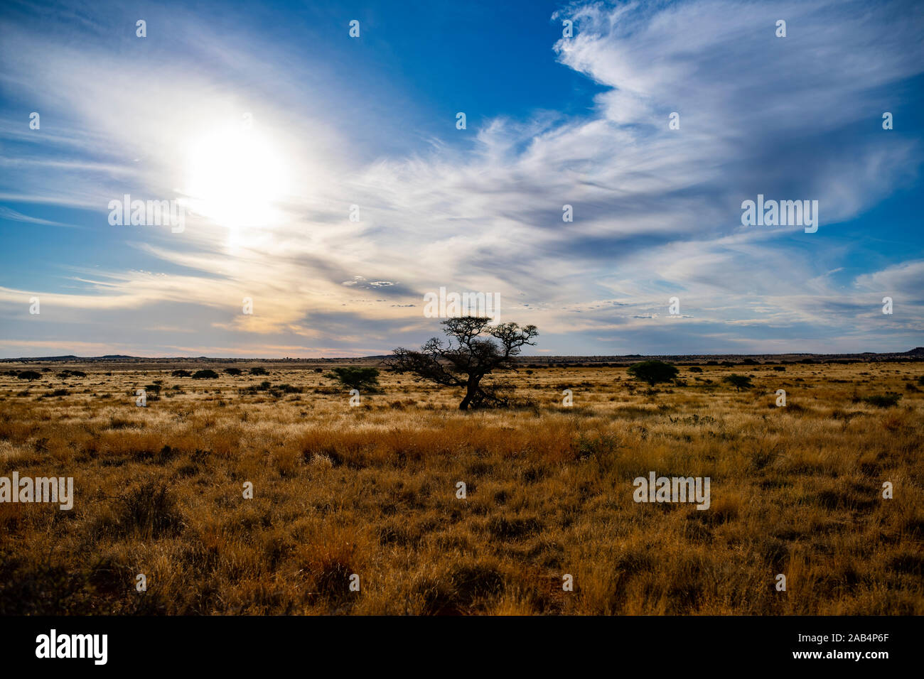 Dürre Wüste in Südafrika Stockfoto