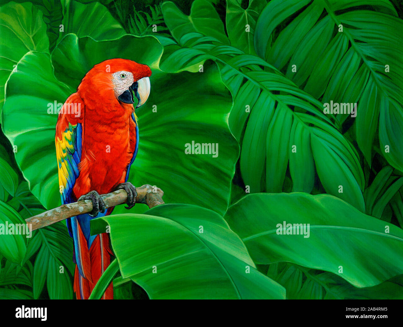 Scarlet Ara Papagei thront auf Zweig in üppige Blätter Stockfoto