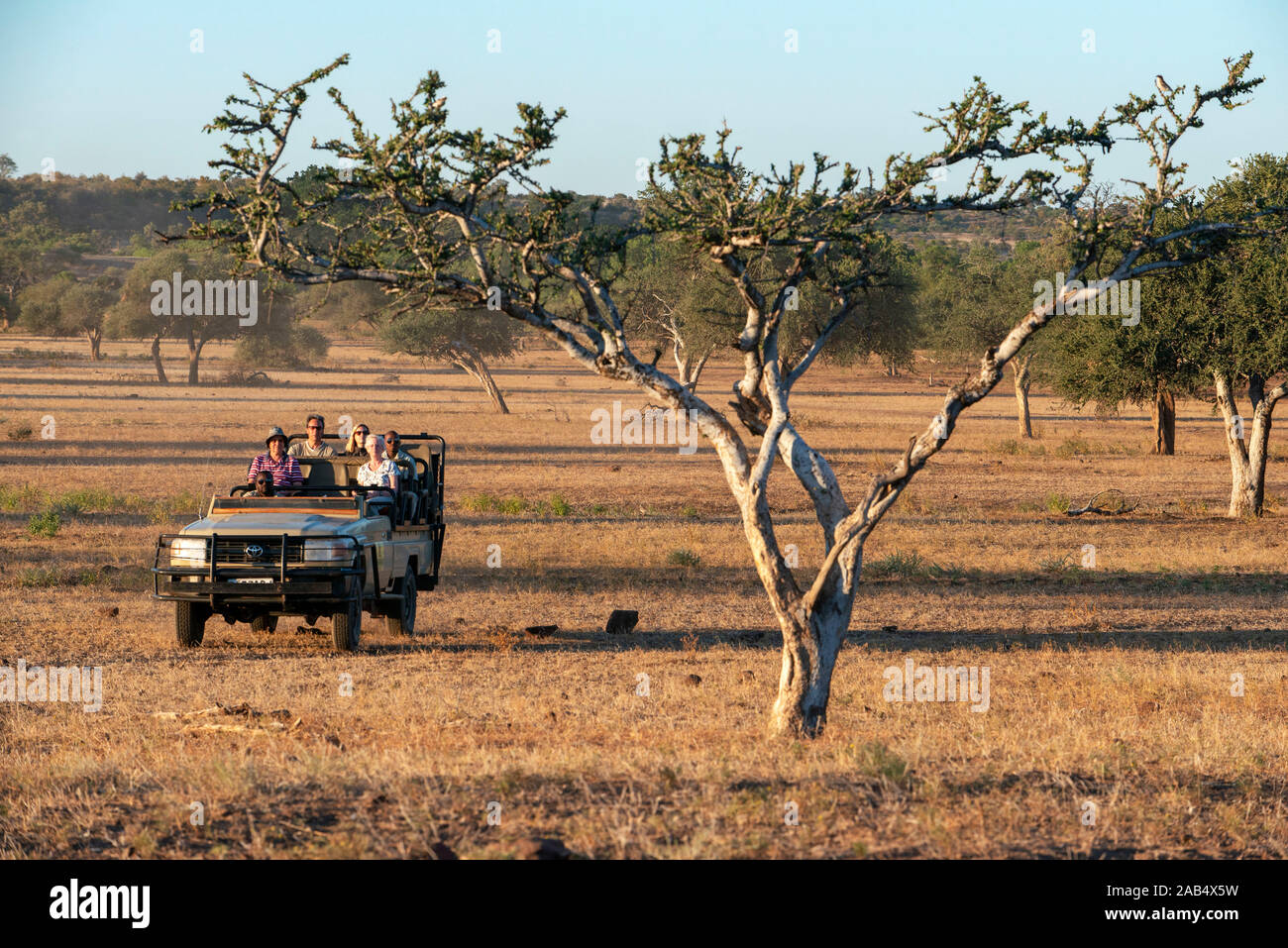 Touristische in einem Safari Fahrzeug bei Mashatu Game Reserve, Botswana, Afrika Stockfoto