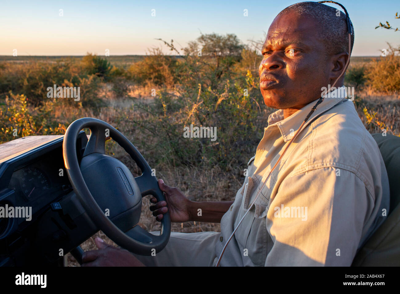 Führer einer Safari Fahrzeug bei Mashatu Game Reserve, Botswana, Afrika Stockfoto