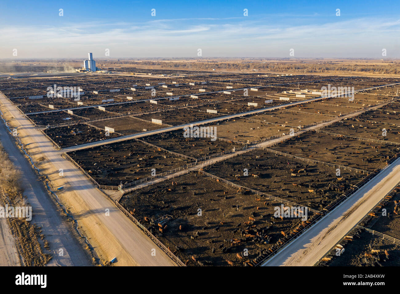Kersey, Colorado ein Vieh feedlot durch fünf Flüsse Viehzucht