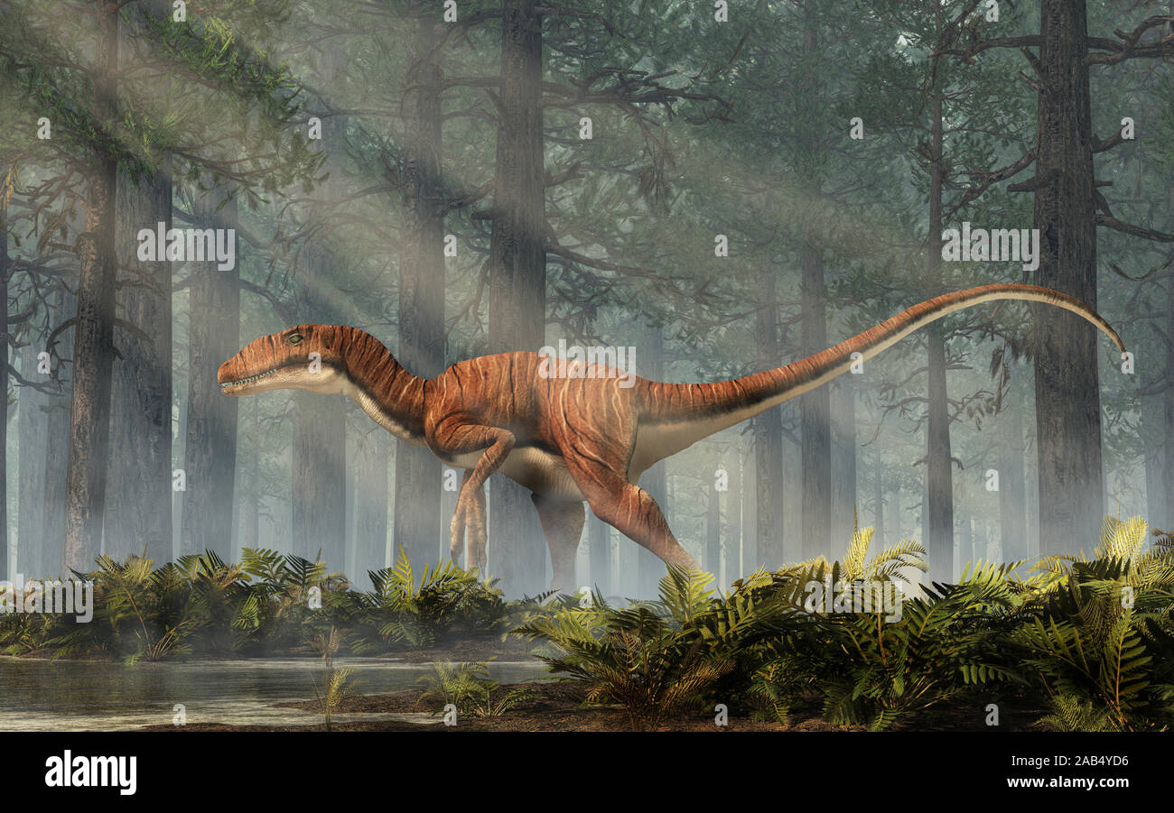 Deinonychus ist ein theropode Saurier, ein Cousin von velociraptor, die während der Kreidezeit lebten. Hier ohne Federn in einem dichten Wald dargestellt. 3D-R Stockfoto