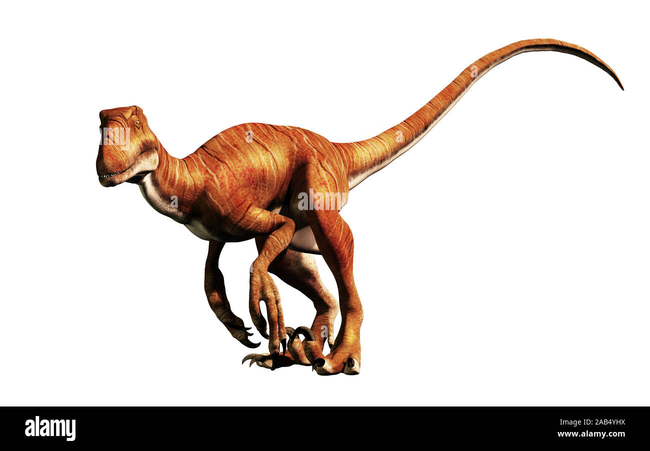 Deinonychus ist ein theropode Saurier, ein Cousin von velociraptor, die während der Kreidezeit lebten. Hier mit keine Federn auf weißem Hintergrund dargestellt. Stockfoto