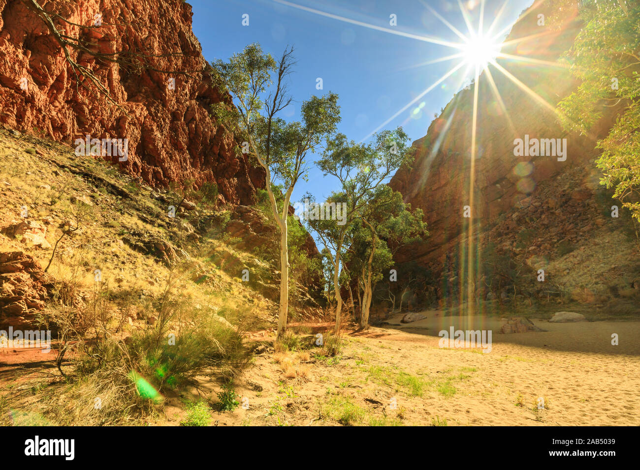 Sonnenstrahlen auf Bush Vegetation mit Eukalyptus- und Gum Tree auf trockenen Flussbett der Simpsons Gap in West MacDonnell National Park, Northern Territory Stockfoto