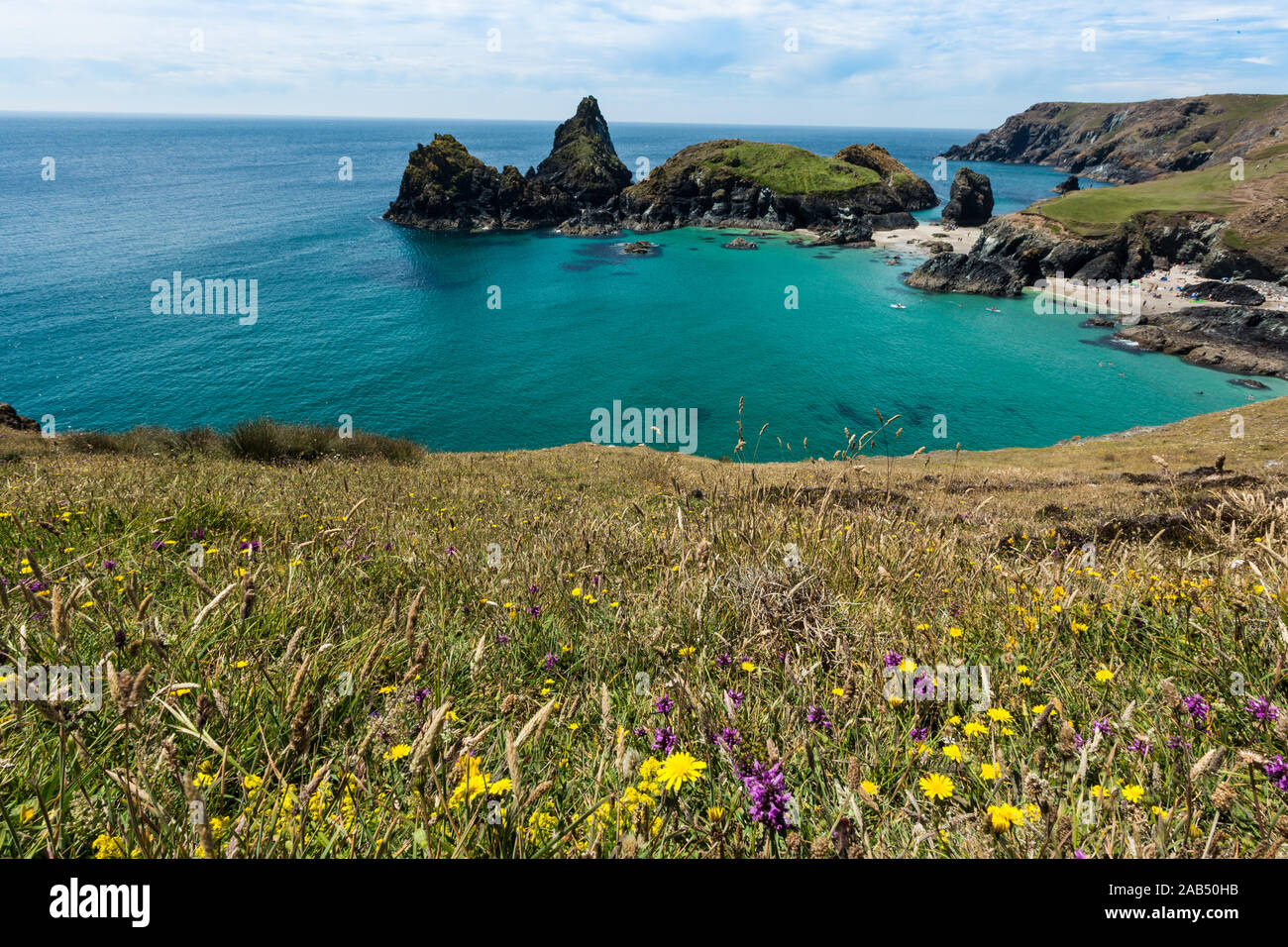 Die malerische und beliebtes Reiseziel von Kynance Cove in Cornwall, die Schöne robuste Cornish Landschaft mit Wildblumen auf seiner bes Stockfoto