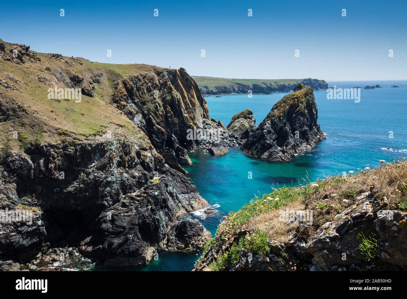 Die malerische und beliebtes Reiseziel von Kynance Cove in Cornwall, die Schöne robuste Cornish Landschaft am besten im Sommer. Stockfoto