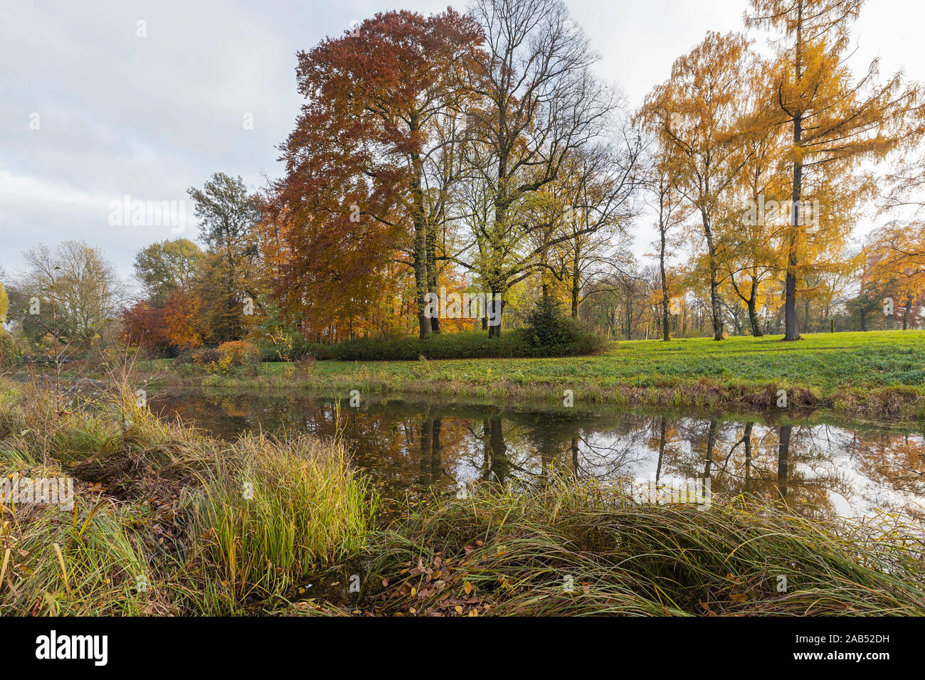 Krefeld-Linn - Blick auf bunte Bäume spiegeln sich in den Creek, Nordrhein Westfalen, Deutschland, 25.11.2019 Stockfoto