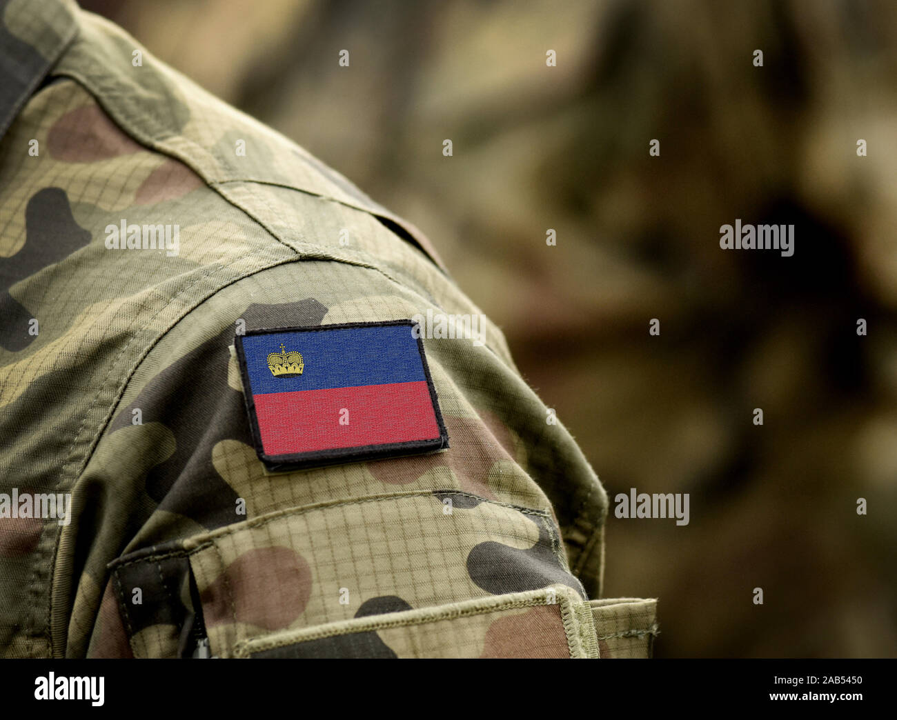 Flagge Liechtensteins zur Uniform. Armee, Soldaten. Collage. Stockfoto